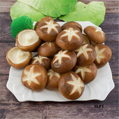 Magazin de bucătărie magazin decor simulare legume artificiale false swamm lentinus edodes Shiitake ac uscat Ciuperca Enoki