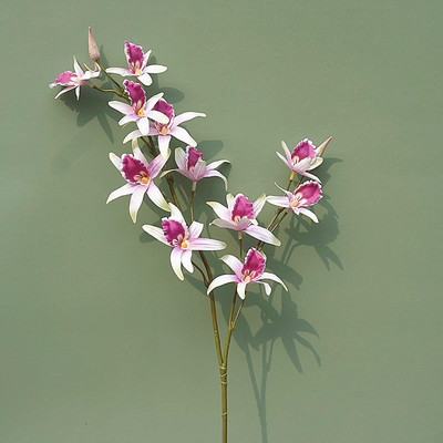 Artificial Dendrobium Orchid Simulation Fake Flower Διακόσμηση σπιτιού Γάμος Soft Pack Φωτογραφία Σετ διακόσμησης Υλικό