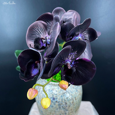 SunMade Latex Real Touch Artificial Orchids Flower White Butterfly Orchids Fake Flower for Home Party Διακόσμηση γάμου DIY