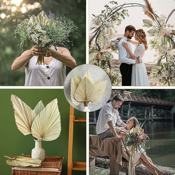 Φυσικό αποξηραμένο γρασίδι Pampas Fluffy Bouquet Boho Palm Fan Leaf Αποξηραμένο λουλούδι Γάμος Διακόσμηση Αψίδας Σπίτι Σαλόνι λουλουδιών