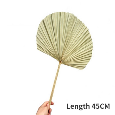 Φυσικό αποξηραμένο γρασίδι Pampas Fluffy Bouquet Boho Palm Fan Leaf Αποξηραμένο λουλούδι Γάμος Διακόσμηση Αψίδας Σπίτι Σαλόνι λουλουδιών