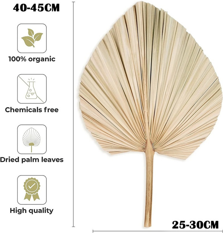 Φυσικό αποξηραμένο γρασίδι Pampas Fluffy Bouquet Boho Palm Fan Leaf Αποξηραμένο λουλούδι Γάμος Διακόσμηση Αψίδας Σπίτι Σαλόνι λουλουδιών