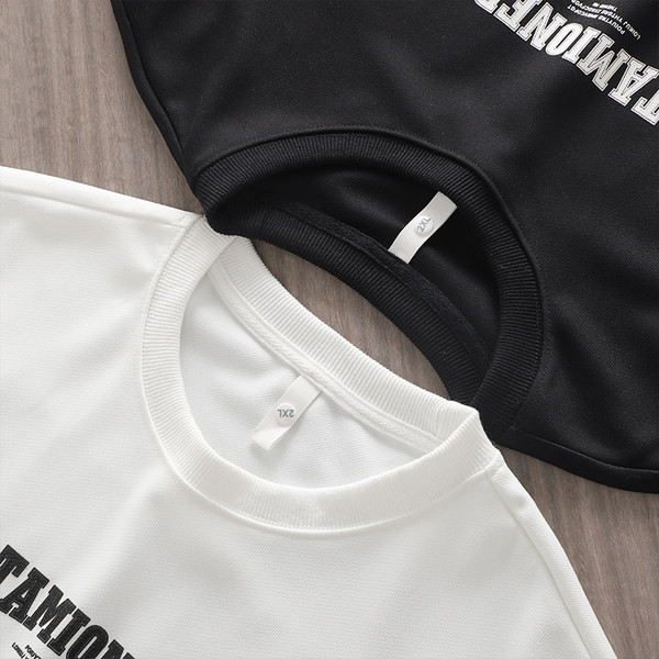 Tavaline pluus pealdisega