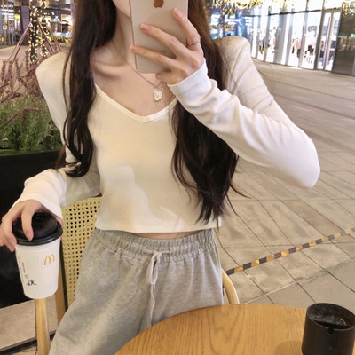 Puhas V-kaelusega pluus