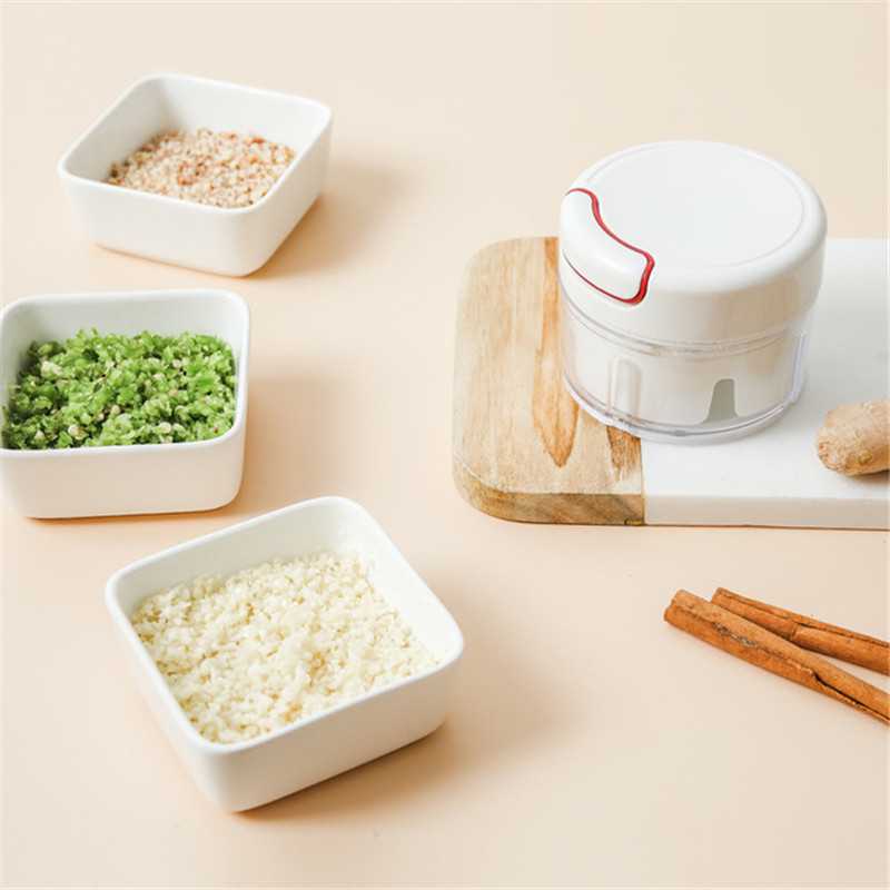 Mini küüslaugu viilutaja majapidamises hakklihamasin Käsitsi hakklihaveski Grill Köögiviljaliha Köögi Hakkija Purustaja vidin