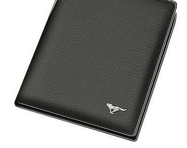 Meeste kandiline ökonahast rahakott, kaks mudelit kirjaga ja metallelemendiga