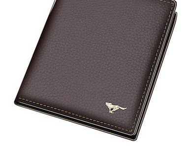 Meeste kandiline ökonahast rahakott, kaks mudelit kirjaga ja metallelemendiga