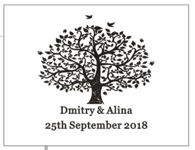 Εξατομικευμένος καθρέφτης Golden Silver Βιβλίο επισκεπτών Προσαρμοσμένες λεπτομέρειες γάμου Υπογραφή καλεσμένων Βάπτιση Βιβλίο επισκεπτών Διακόσμηση πάρτι