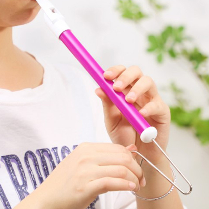 Instrument muzical Tobogan Fluier Jucărie Tobogan Fluier Durabil Tobogan Fluier Copii Jucărie muzicală clasică Piccolo Toys