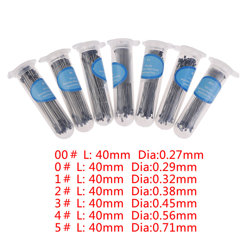 100 vnt. vabzdžių smeigtukų bandinių smeigtukai nerūdijančio plieno su plastikine dėže, skirta mokyklos laboratorijos entomologijos skrodimui