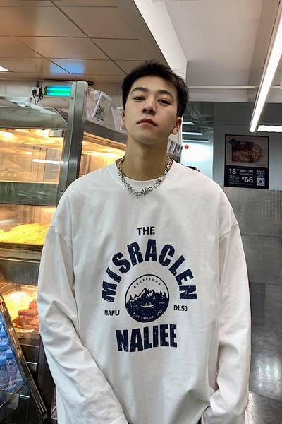 Trükiga kevad-sügis meeste pluus