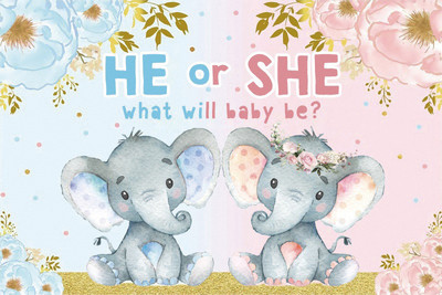 Oh Beebi ühekordsed lauanõud Pabertaldrikud Tassid Sugu paljastavad peokaunistused Beebi duši sisekujundustarbed