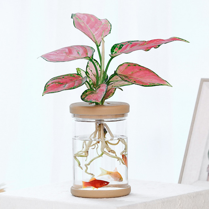 Patvarus skaidrus hidroponinis gėlių vazonas, stiklo imitacija, be dirvožemio sodinimas, mažas vazoninis žalias augalų dervos gėlių vazonas