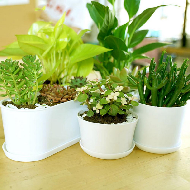 Bijela minimalistička poligonalna posuda za cvijeće s pladnjem Vrtlarstvo Zadebljana plastična vrtna posuda za sobne male biljke u saksiji mesnate 1 kom.