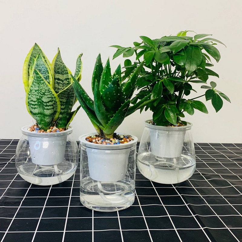 Savaime laistomi vazonai vazonėliams Mini vazonai kambariniams sultingiems augalams Mini vazonas žuvims laikyti namuose Stalinis gėlių vazonas namų bonsai dekoras