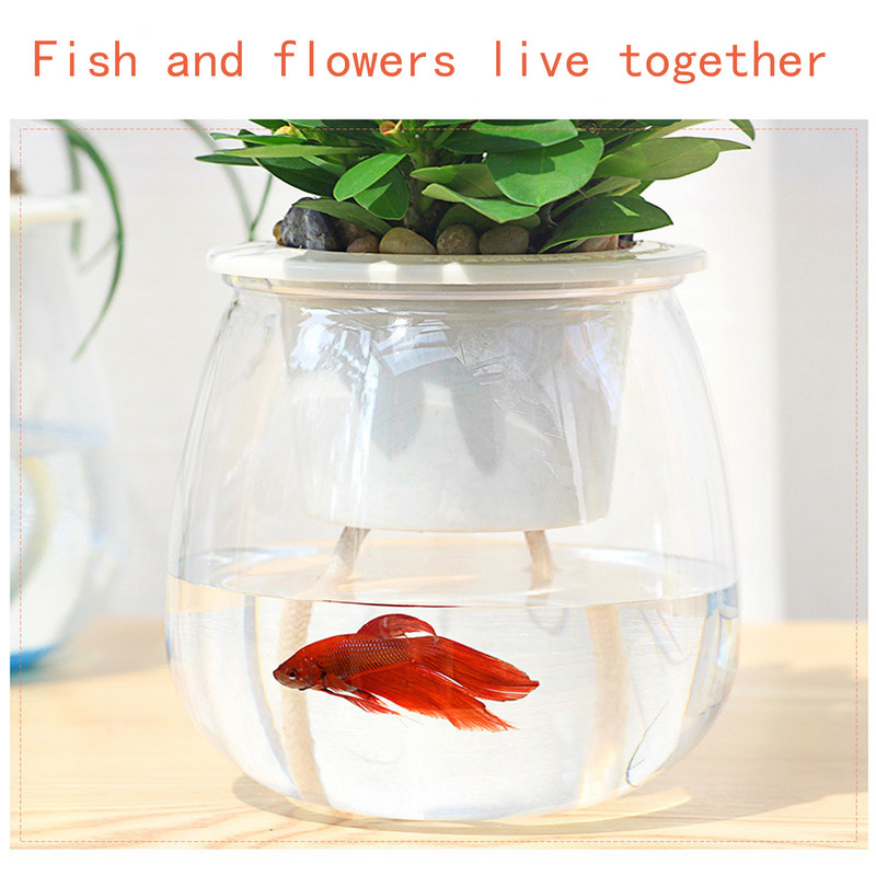 Savaime laistomi vazonai vazonėliams Mini vazonai kambariniams sultingiems augalams Mini vazonas žuvims laikyti namuose Stalinis gėlių vazonas namų bonsai dekoras