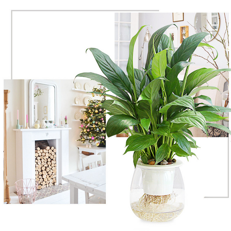 Savaime laistomi vazonai vazonėliams Mini vazonai kambariniams sultingiems augalams Mini vazonas žuvims laikyti namuose Stalinis gėlių vazonas namų bonsai dekoras