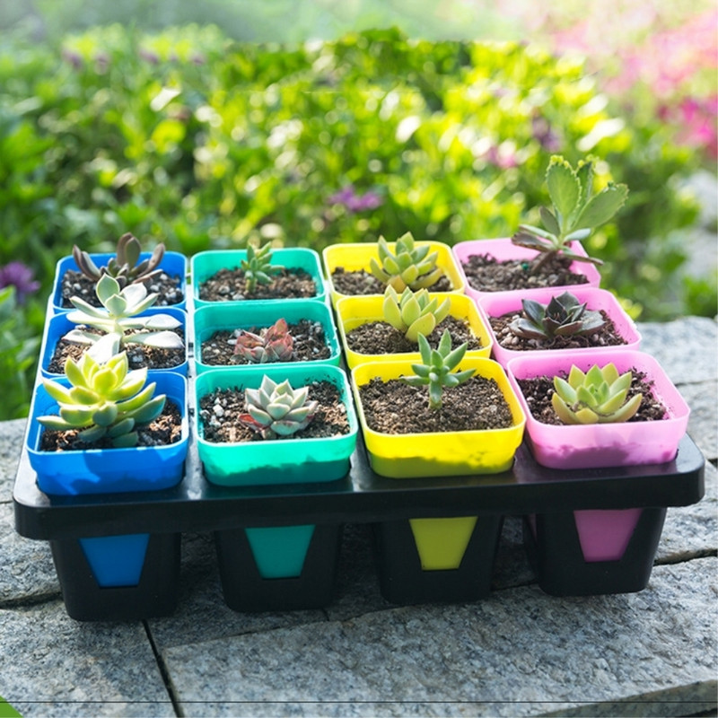 10 tk/komplekt plastist lillepoti aiakaunistus Väike ruutbassein Lihasus Botaanika Võrgubassein Kasvatada seemikud Kodukontori dekoratiivkarp