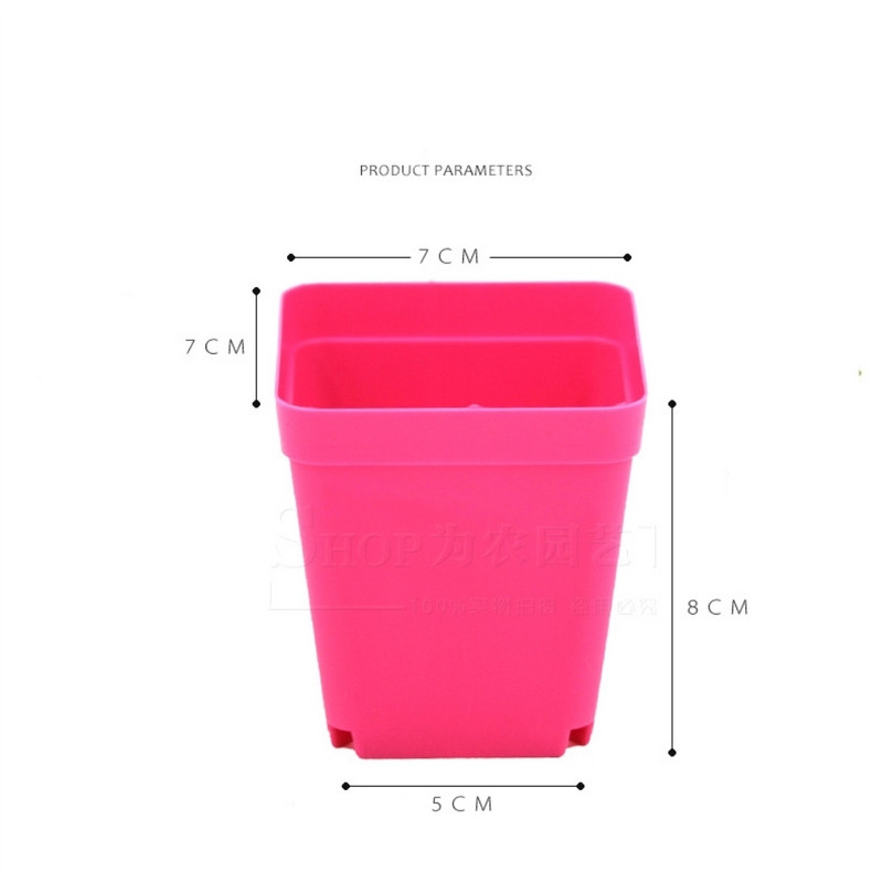 10 tk/komplekt plastist lillepoti aiakaunistus Väike ruutbassein Lihasus Botaanika Võrgubassein Kasvatada seemikud Kodukontori dekoratiivkarp