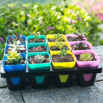 10 χρωματιστά παχύφυτα Γλαστράκια Διακόσμηση εσωτερικού κήπου για γραφείο γραφείου Μίνι βάζο φυτών Γλάστρα Αξεσουάρ σπιτιού