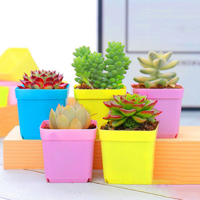 10 Color Succulent Plants Flower Pots Decoration Indoor Garden For Office Desktop Mini Vase Plant Nursery Pot Home Accessories