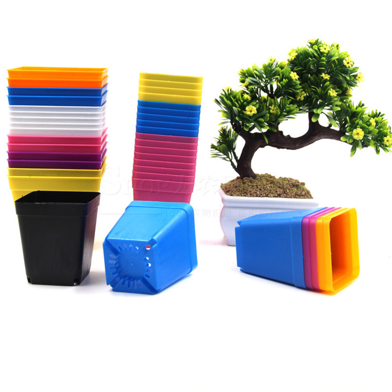 10 spalvų sultingų augalų Gėlių vazonų dekoravimas Vidaus sodas biuro staliniam kompiuteriui Mini vazos augalų darželio vazonas Namų priedai
