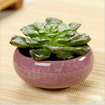 2 ΤΕΜ Ice-Crack κεραμικές γλάστρες για ζουμερά φυτά Μικρές μπονσάι διακόσμηση σπιτιού και κήπου Χυμώδεις γλάστρες Διακόσμηση σπιτιού