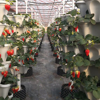 1 τμχ Πλαστική στοιβαζόμενη κάθετη γλάστρα λουλουδιών Στήριγμα σπορόφυτου φράουλα φυτευτές λαχανικών Κήπος Διακόσμηση γλάστρας με τρία πέταλα