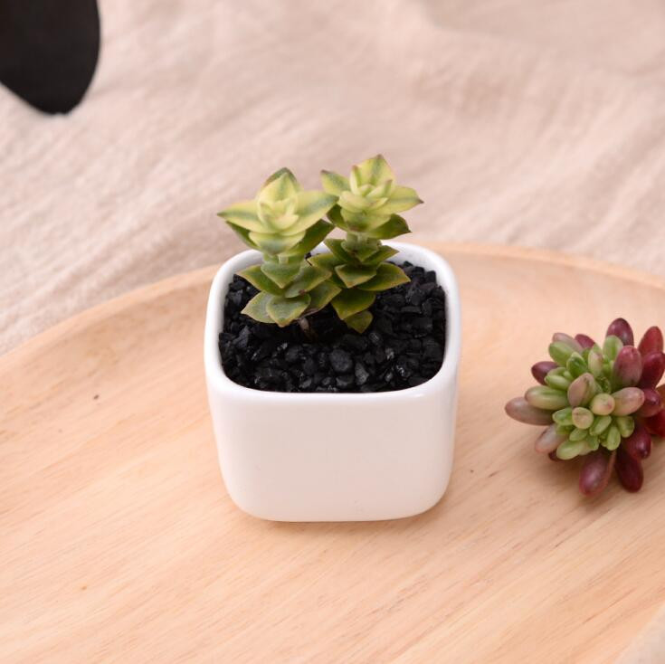 TECHOME Klasična bijela keramička posuda za cvijeće Mali kvadratni zeleni držači za biljke Posuda za cvijeće Posuda za stol, balkon, mini posuda za biljke