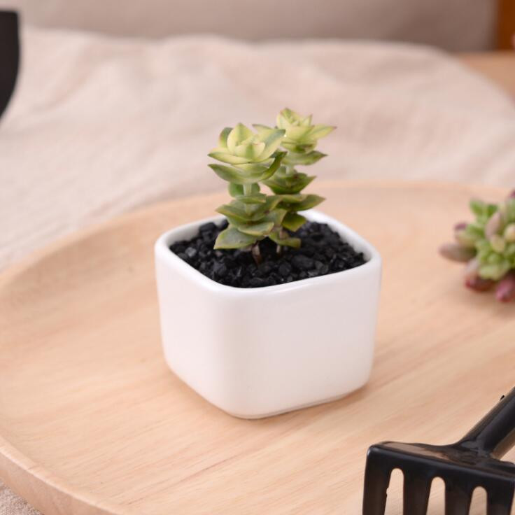 TECHOME Klasična bijela keramička posuda za cvijeće Mali kvadratni zeleni držači za biljke Posuda za cvijeće Posuda za stol, balkon, mini posuda za biljke