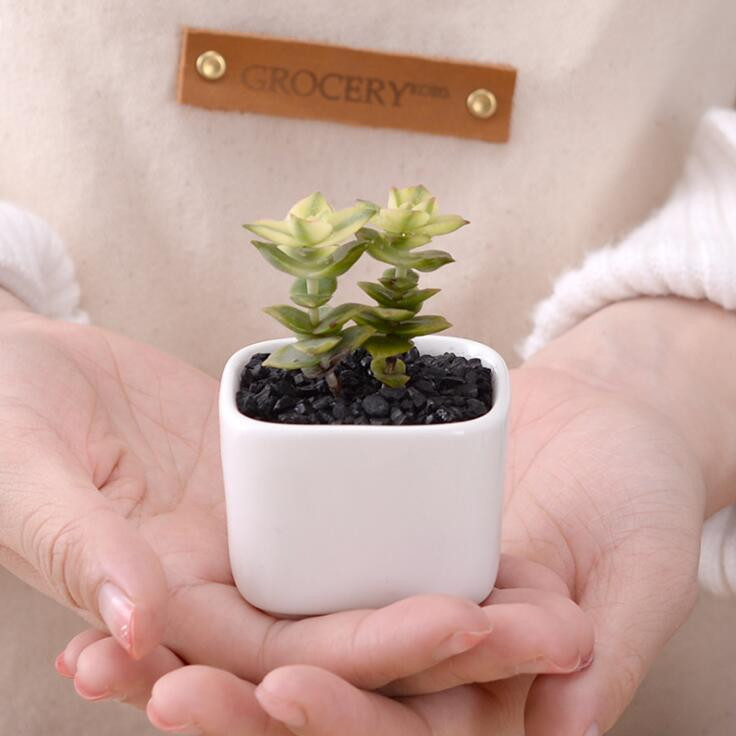 TECHOME Klasična bijela keramička posuda za cvijeće Mali kvadratni zeleni držači za biljke Posuda za cvijeće Posuda za stol, balkon, mini posuda za biljke