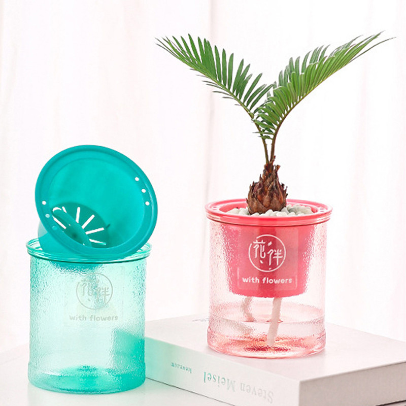 Lijena samonavodnjavajuća posuda za cvijeće s automatskim upijanjem vode, sukulentna akvakulturna prozirna okrugla plastična hidroponska posuda za cvijeće