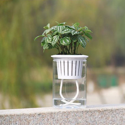 Transparente, automate, absorbție de apă, auto-udare, ghiveci de flori hidroponice, jardinier, accesorii de grădină, ghiveci de plantare FU