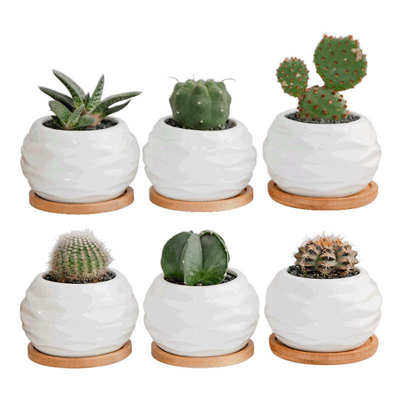 Strongwell Decoration Artware Kreativna nordijska mini teglica za cvijeće Moderni valoviti uzorak Bijele porculanske teglice za cvijeće Dekoracija Bonsai