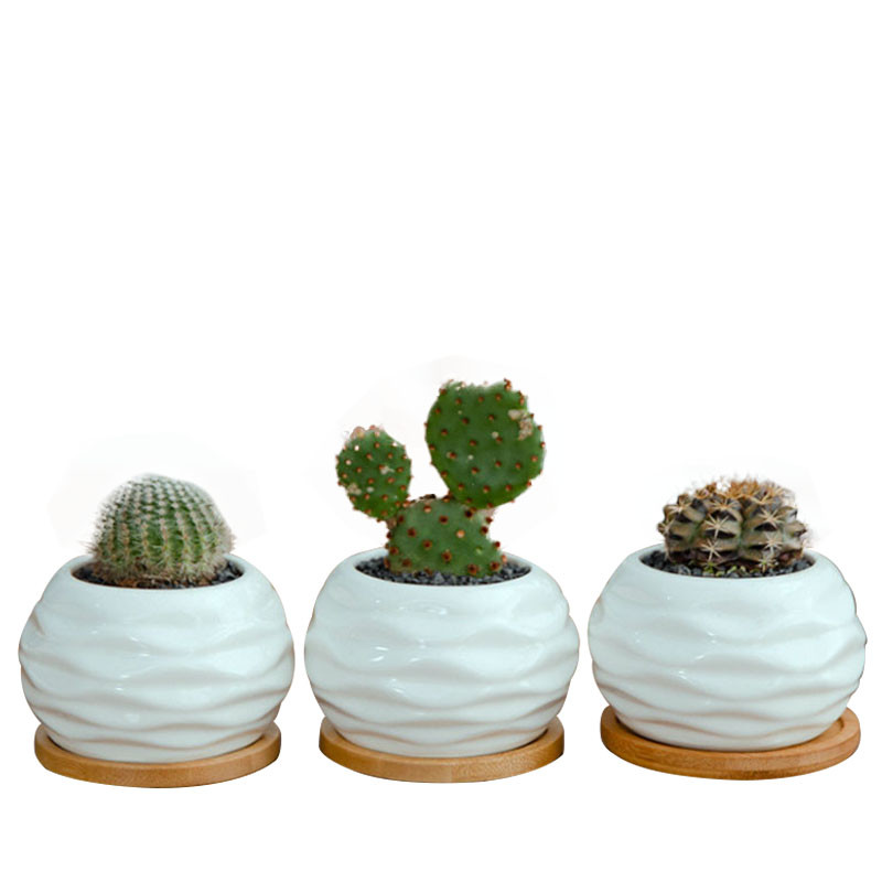 Strongwell Decoration Artware Kreativna nordijska mini teglica za cvijeće Moderni valoviti uzorak Bijele porculanske teglice za cvijeće Dekoracija Bonsai