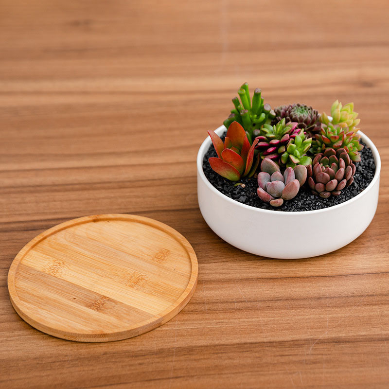 Kūrybinis apvalus stačiakampis gėlių vazonas Namų dekoravimas Žalieji augalai Bonsai Balta Porcelianinė vazonė Sultingi vazonai Ornamentas