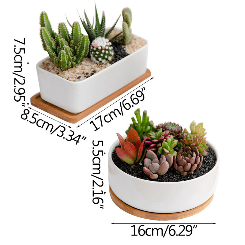 Kūrybinis apvalus stačiakampis gėlių vazonas Namų dekoravimas Žalieji augalai Bonsai Balta Porcelianinė vazonė Sultingi vazonai Ornamentas