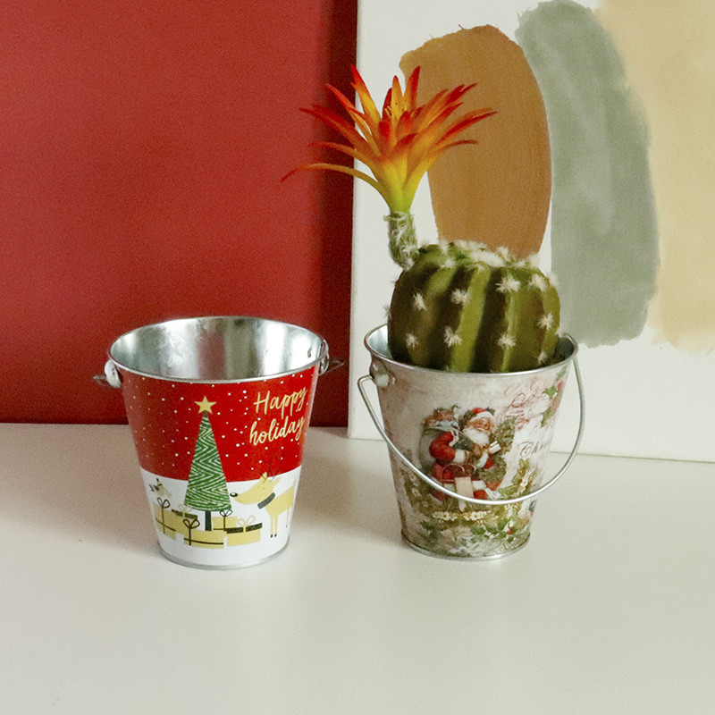 Kreativna božićna višenamjenska željezna boca za vodu i posuda za cvijeće Vrtne posude za cvijeće Djed Božićnjak Sukulentna biljka Posuda za uređenje doma