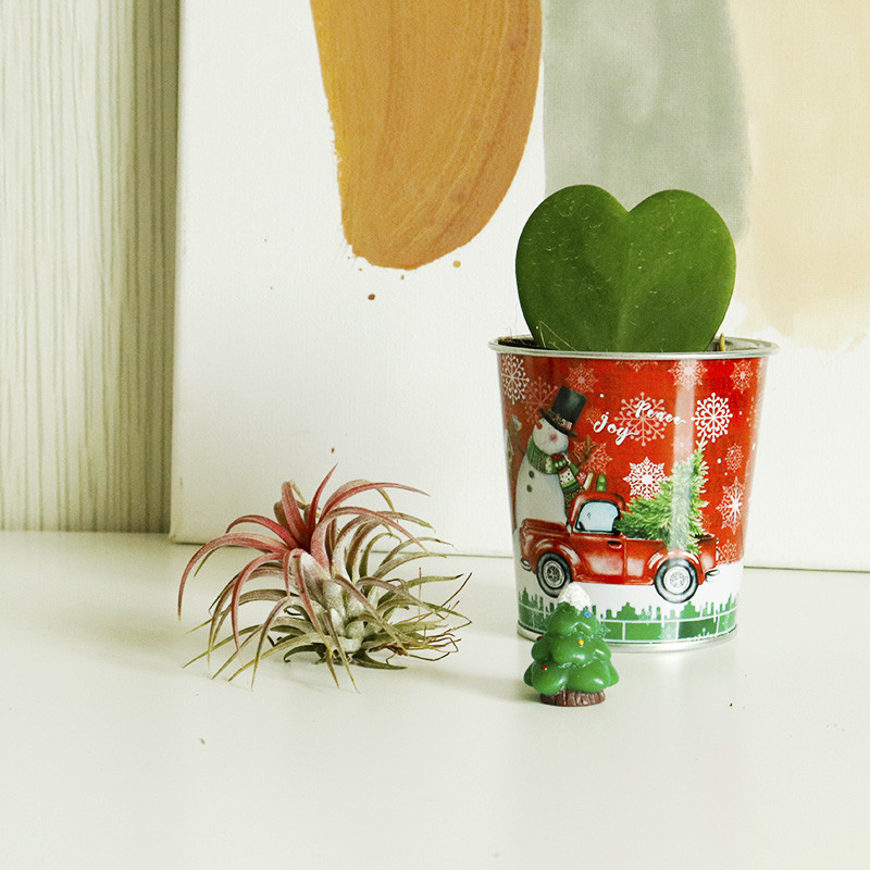 Kreativna božićna višenamjenska željezna boca za vodu i posuda za cvijeće Vrtne posude za cvijeće Djed Božićnjak Sukulentna biljka Posuda za uređenje doma