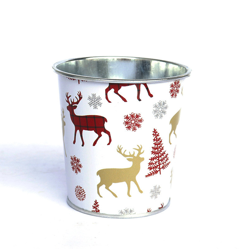 Kreativna božićna višenamjenska željezna boca za vodu i posuda za cvijeće Vrtne posude za cvijeće Djed Božićnjak Sukulentna biljka Posuda za uređenje doma