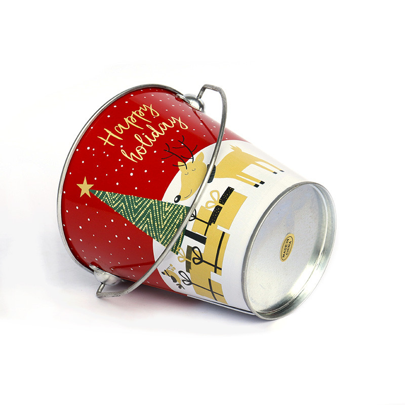 Kreativna božićna višenamjenska željezna boca za vodu i posuda za cvijeće Vrtne posude za cvijeće Djed Božićnjak Sukulentna biljka Posuda za uređenje doma