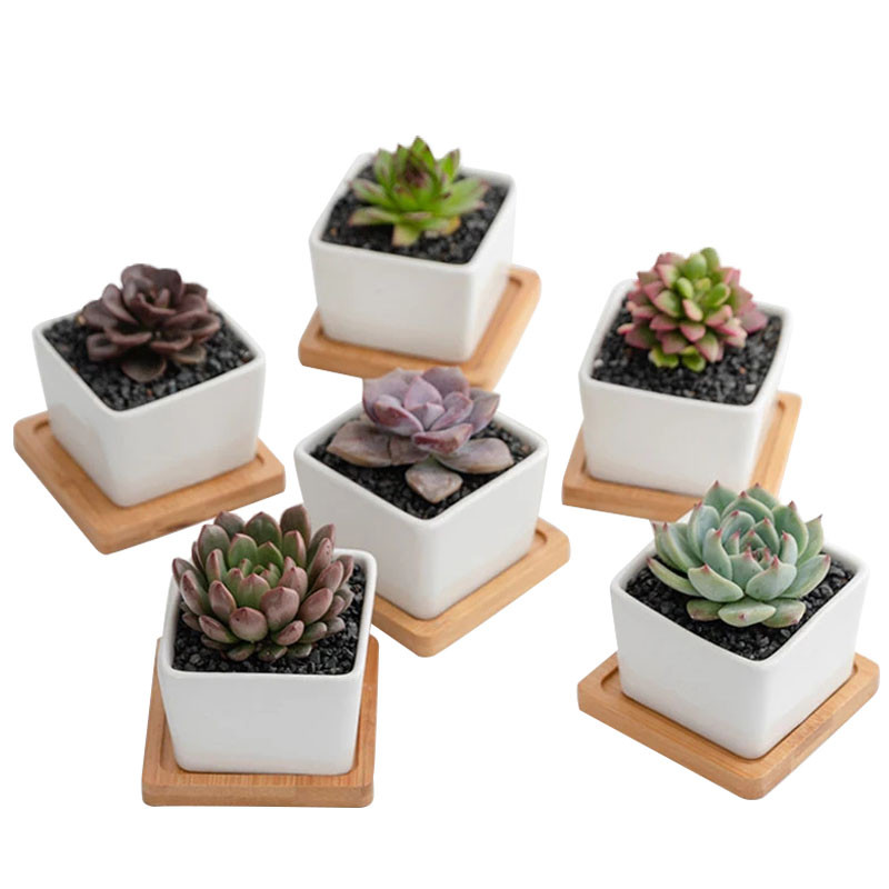 Strongwell bijeli porculanski keramički lonac za cvijeće Minimalistički četvrtasti sadilica Vilinski pribor za ukrašavanje vrta Sadilica za sukulente