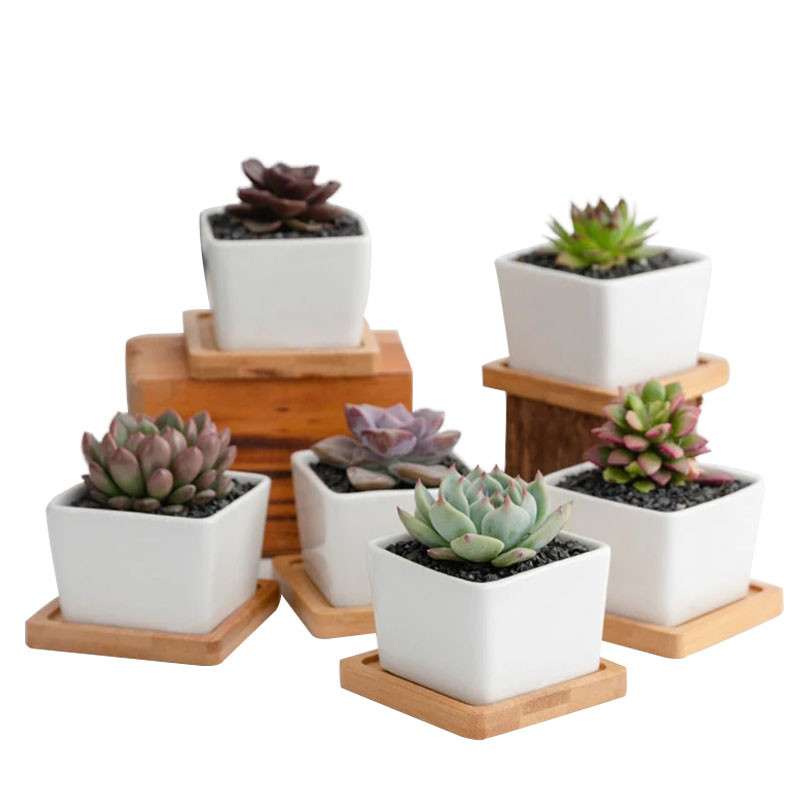 Strongwell bijeli porculanski keramički lonac za cvijeće Minimalistički četvrtasti sadilica Vilinski pribor za ukrašavanje vrta Sadilica za sukulente