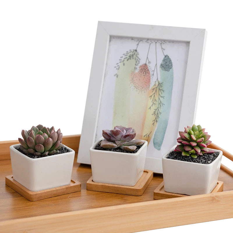 Strongwell bijeli porculanski keramički lonac za cvijeće Minimalistički četvrtasti sadilica Vilinski pribor za ukrašavanje vrta Sadilica za sukulente