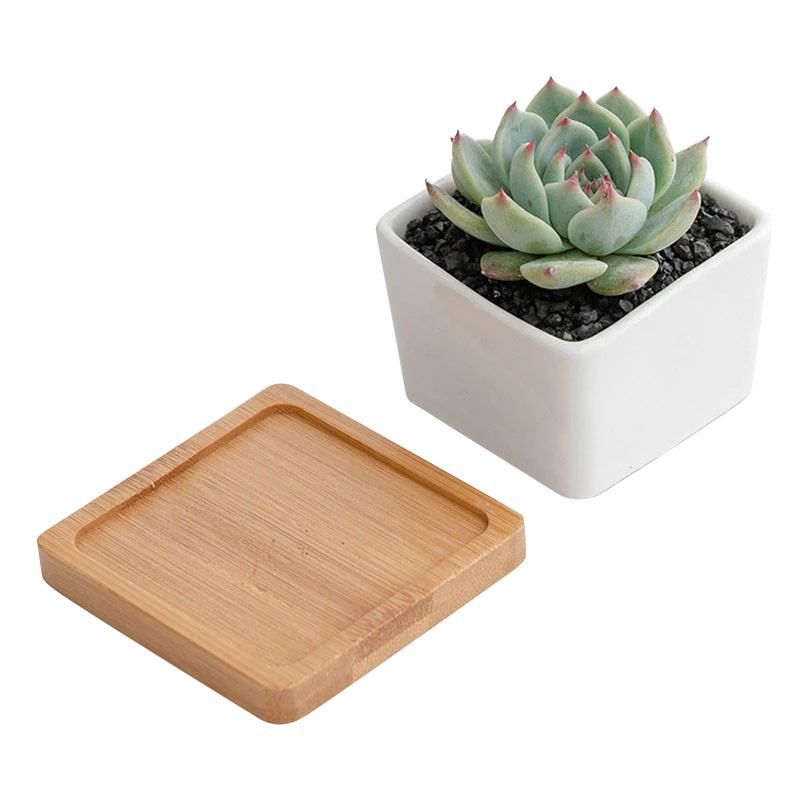Strongwell bijeli porculanski keramički lonac za cvijeće Minimalistički četvrtasti sadilica Vilinski pribor za ukrašavanje vrta Sadilica za sukulente