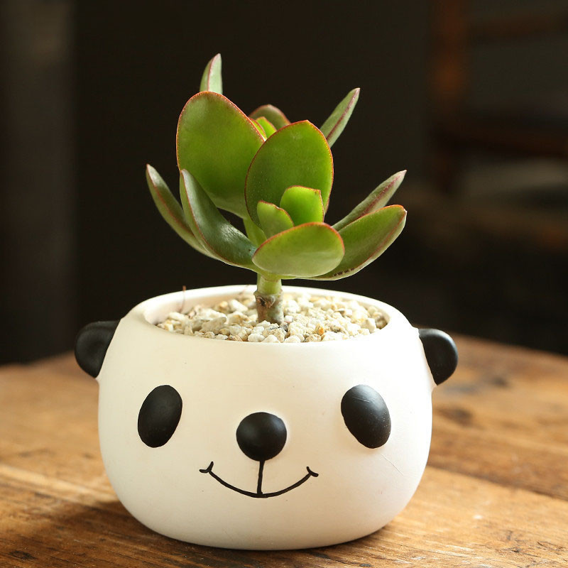 Crtani životinjski lonac za cvijeće Ukras za dom Posao za stolni zaslon Posuda za bonsai Slatki medo Keramičke sukulentne lonce Dekoracije