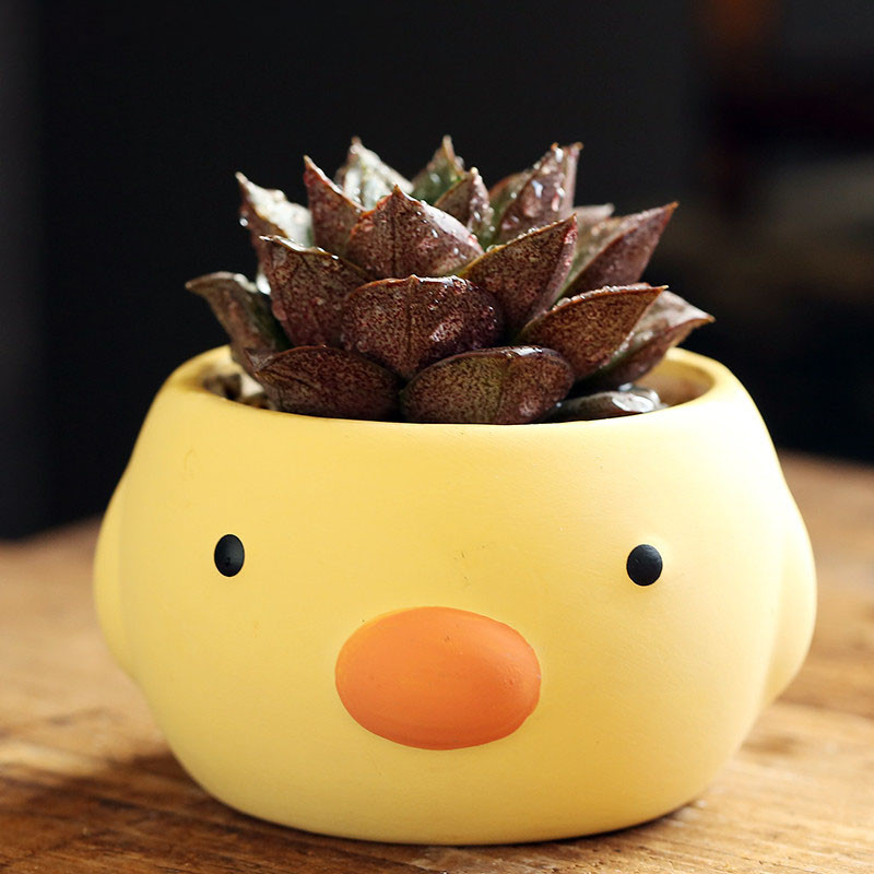 Crtani životinjski lonac za cvijeće Ukras za dom Posao za stolni zaslon Posuda za bonsai Slatki medo Keramičke sukulentne lonce Dekoracije
