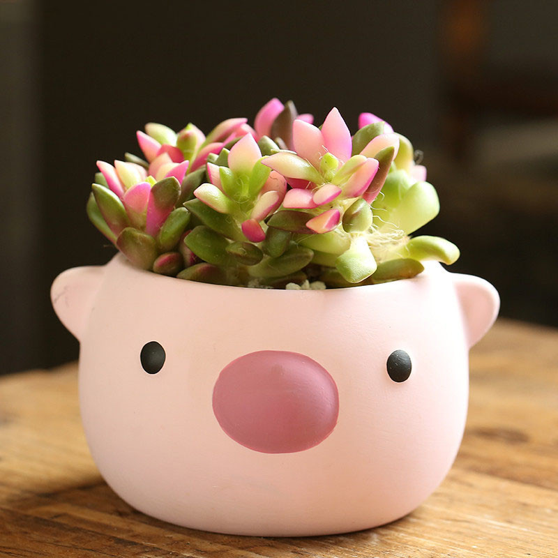 Crtani životinjski lonac za cvijeće Ukras za dom Posao za stolni zaslon Posuda za bonsai Slatki medo Keramičke sukulentne lonce Dekoracije