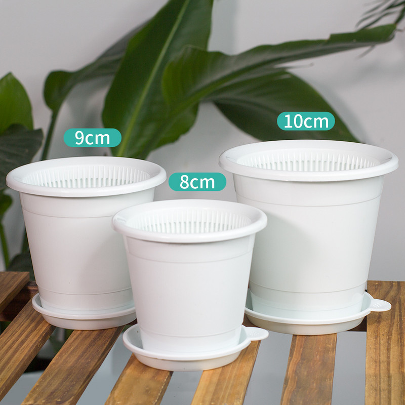 Mrežasta posuda 8 cm 9 cm 10 cm Plastična posuda za orhideje s rupama Biljke za unutarnje vanjske bazene Posuda za cvijeće Posuda za sukulente Spriječava truljenje