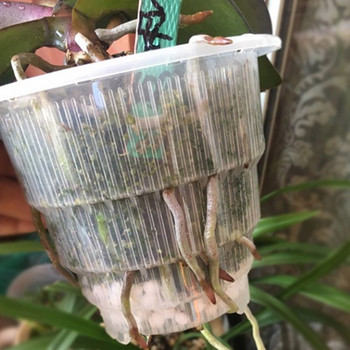 Orchid Flower Planter Mesh Pot Resin Πλαστικό διαφανές αναπνεύσιμο δοχείο με οπές αερισμού Διακόσμηση κήπου σπιτιού